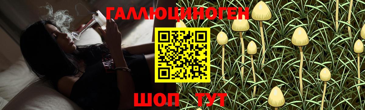 Псилоцибиновые грибы GOLDEN TEACHER Юрга