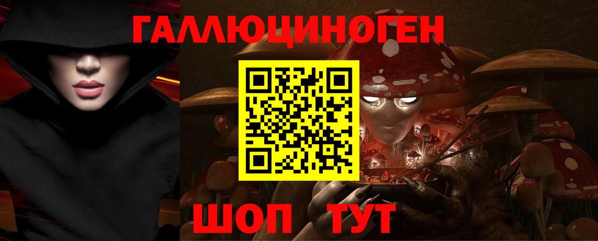дарнет шоп  Вход с VPN  Галлюциногенные грибы Psilocybe  Юрга  Псилоцибиновые грибы MAGIC MUSHROOMS 